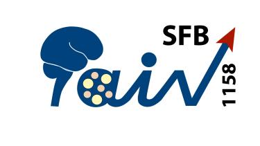 SFB1158 Logo
